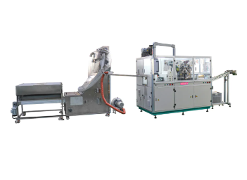 Fully Automatic Caps Printing Machine