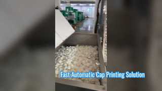Vollautomatische Kappendruckmaschine